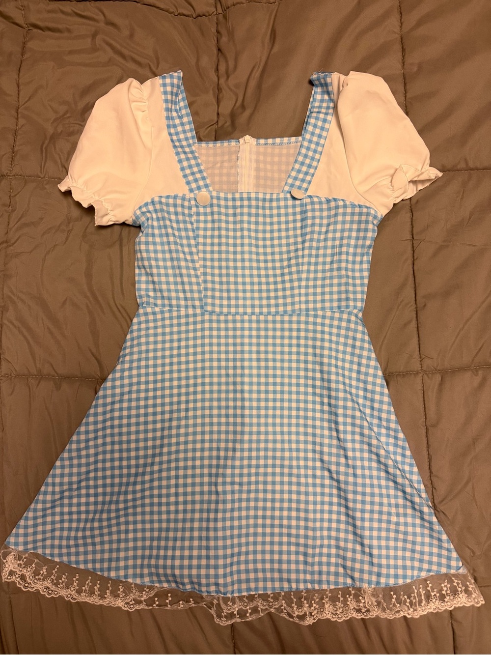 Dorothy Halloween Costume